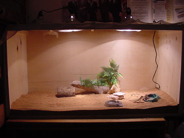 The new pad