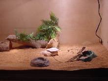 Those two critters