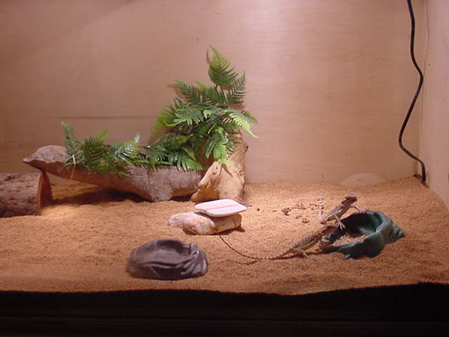 Those two critters