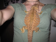 fat 5