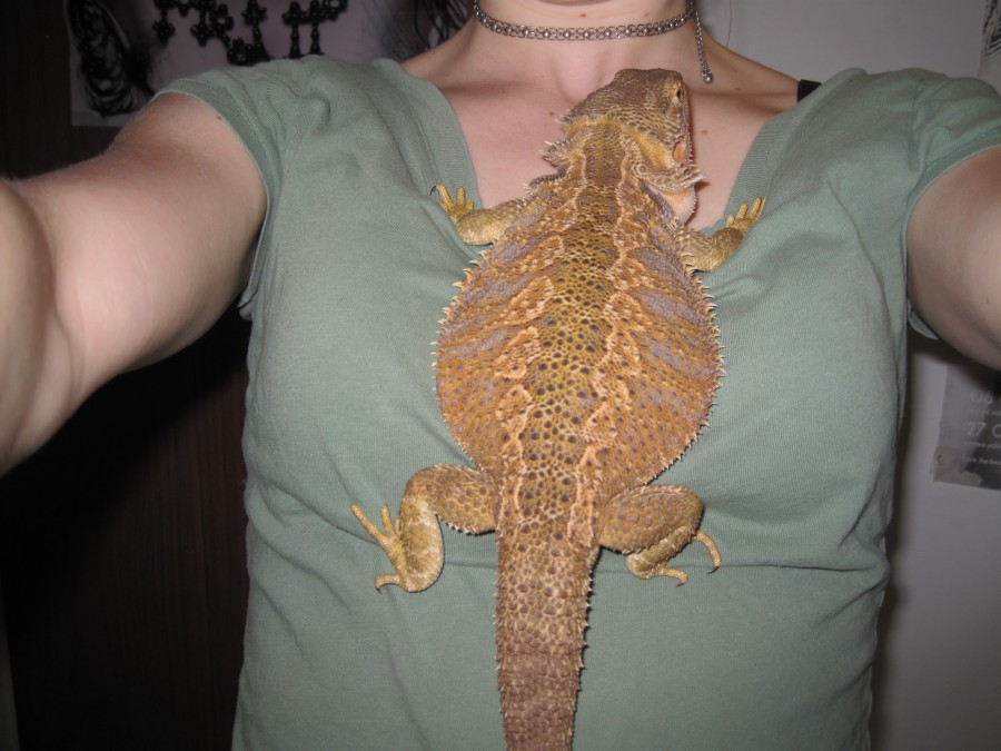 fat 5