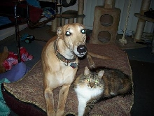 Markie and Zeta
