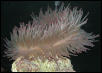 Saltwater Photos