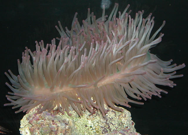 Saltwater Photos