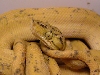 05004pic2