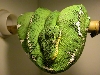 basinpic2