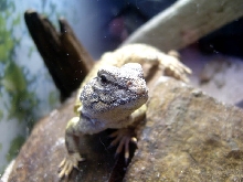 what you looking at?