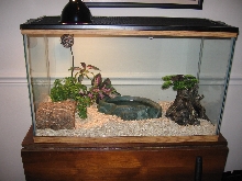 King set up