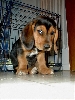 Nula's 1st day!