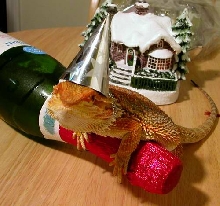 Happy New Year