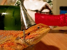 Happy New Year 2
