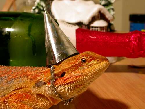 Happy New Year 2