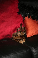 Really nice photo of my ball python Ninja