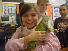 Have You Hugged An Iguana Today?