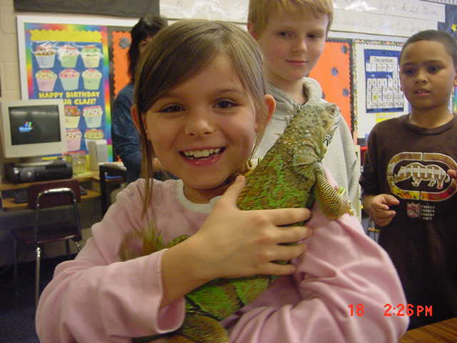 Have You Hugged An Iguana Today?
