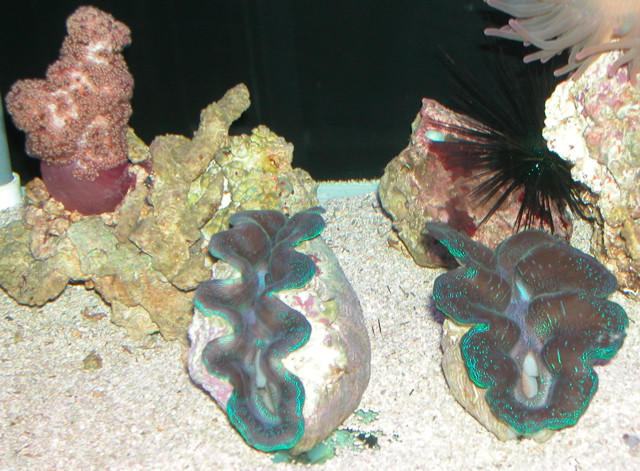 Saltwater Photos