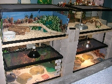 New Stand