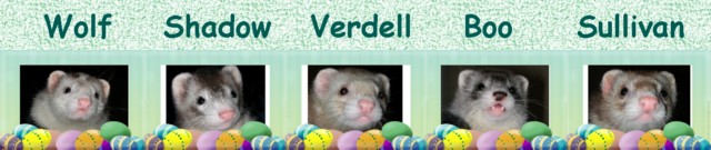 Ferret Easter Signature