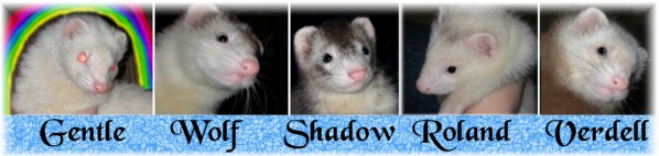 NewFerretSig