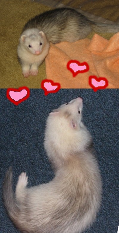 Gwen and Roland