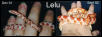 "Lelu"