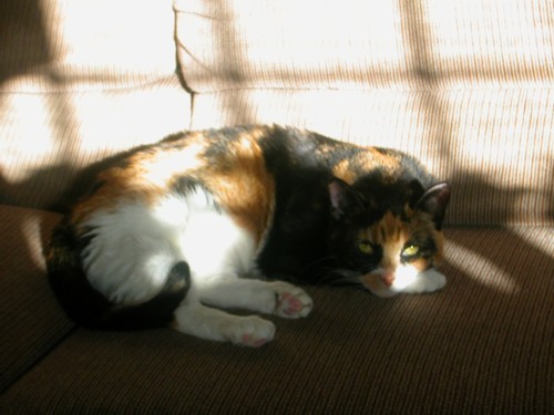 Mia catching some Rays