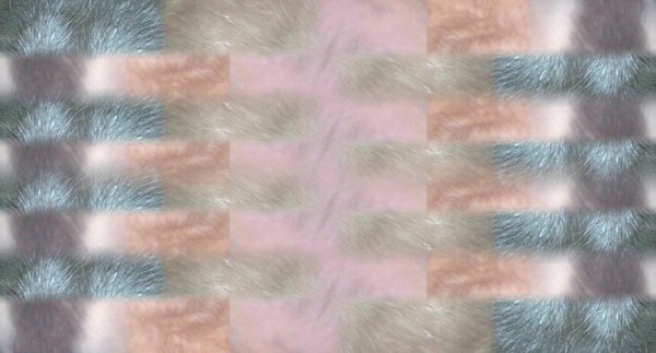 Rat Fuir Background