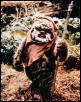 Wicket