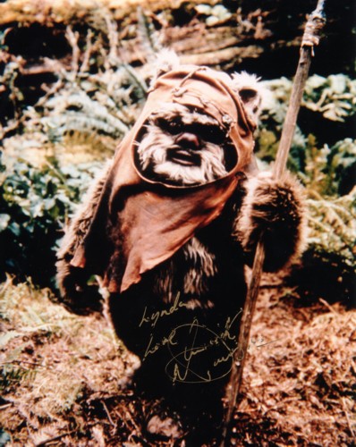 Wicket