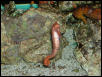 Saltwater Photos