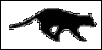 Black Cat