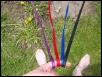 Ferret Leashes