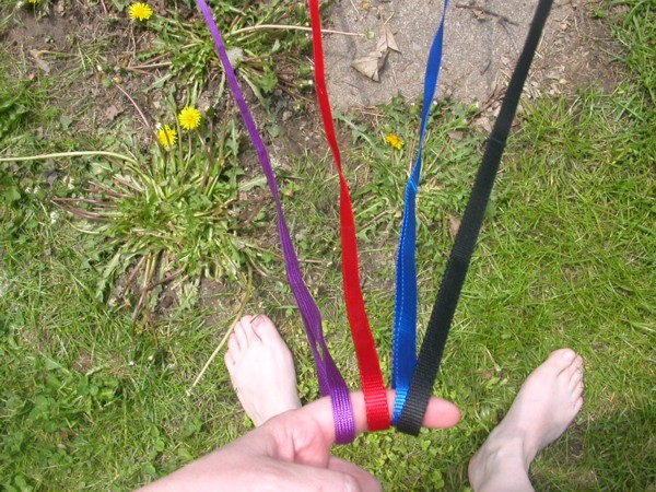 Ferret Leashes
