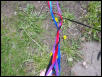 Ferret leashes no longer in order