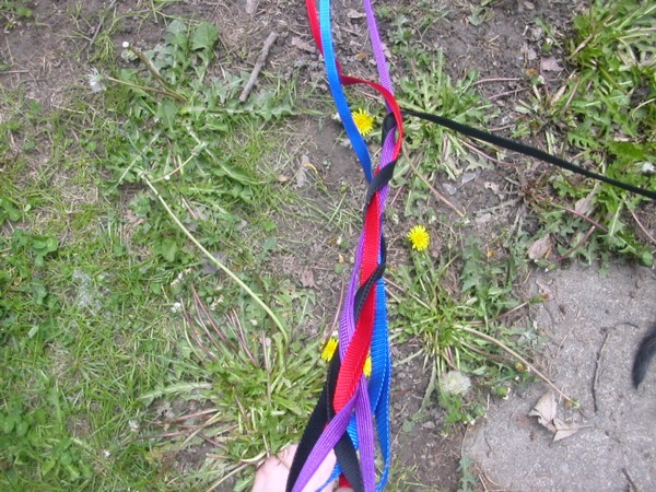 Ferret leashes no longer in order