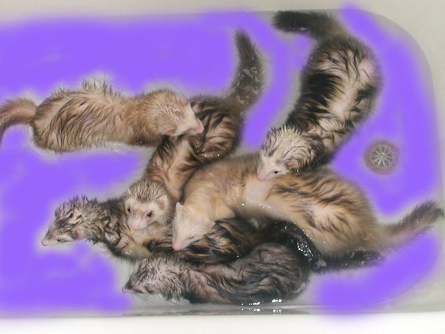 just playing around