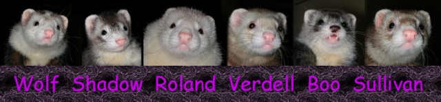 Ferret Signature