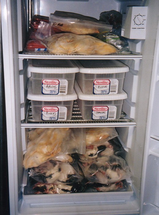 Raise your hand if your freezer looks like this!