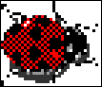 Ladybug