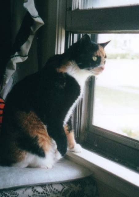 Mia