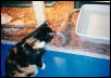 Mia with Tigger