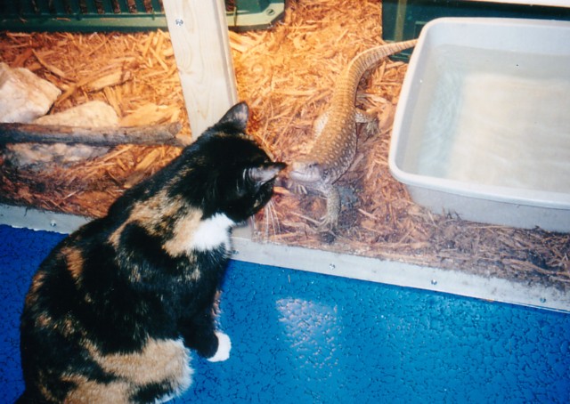 Mia with Tigger