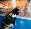 Mia & Tigger