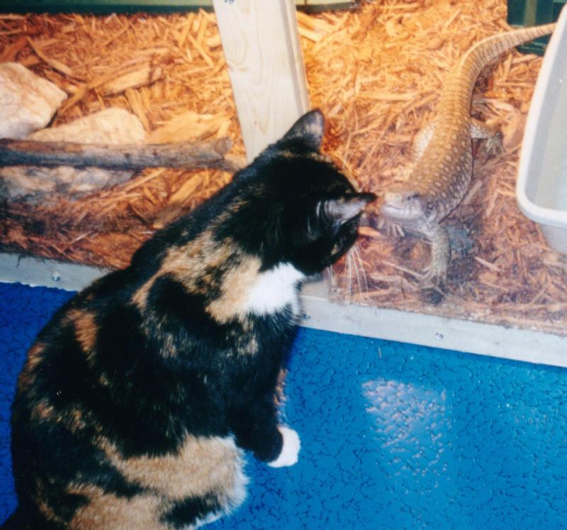 Mia & Tigger
