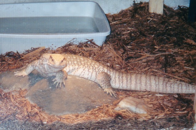 Savannah Basking