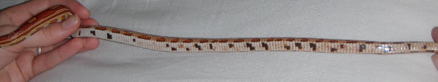 EG.08.101