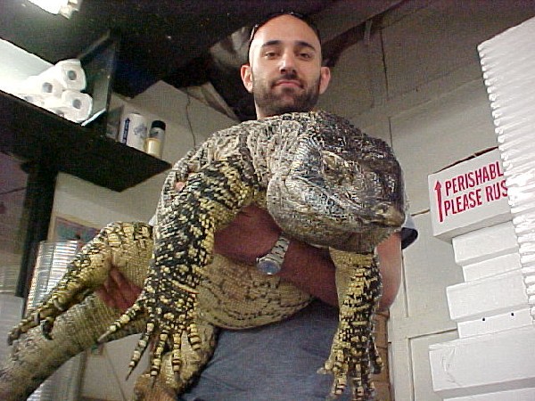 Precision Reptile Labs