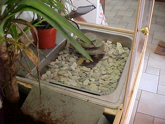 Habitat-Water