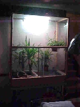 Enclosure