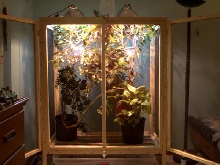 Panther Cage